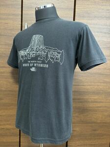 THE NORTH FACE(ザ・ノースフェイス） S/S DEVILS DRAWING TEE（デビルズドローイングティー）NT31653A ブラック M GOLDWIN正規品