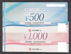 東京ドームグループ利用券　1000円券×5枚と500円券×1枚（5500円分）