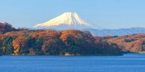 秋富士 紅葉の富士山 狭山湖 もみじ パノラマ 絵画風 壁紙ポスター 特大版1152×376mm（はがせるシール式）103S1