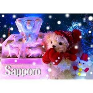 ダイゴー DAIGO 3D ポストカード くま 雪祭り 北海道 札幌 雪まつり 観光地 コレクション ギフト 贈り物 S3101 区分N