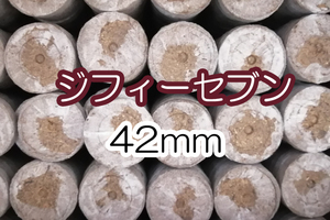 種まきに　ジフィーセブン　42ｍｍ　2個　大きい　サイズ　42ｍｍ