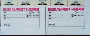 【2枚セット】BUBKA 6月号 読プレ応募用紙のみ