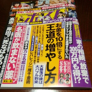 「 週刊ポスト　3/31 南野陽子ポスター 」浜辺美波そっくりさん　ポスター未開封