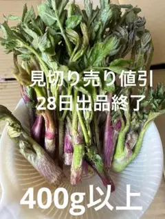 山ウド　山菜　天然物　タラの芽ではない