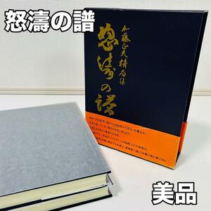 怒濤の譜 加藤正夫精局集上下巻 日本棋院 囲碁 棋士 書籍 專門書 美品