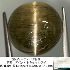 宝石ソーティング付き 天然　アパタイトキャッツアイ 22.820ct 縦14.8㎜×横14.5㎜×高さ12.9㎜ 3122S