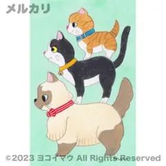 原画「猫ブレーメン」絵 画/イラスト/アート/ラグドール/ハチワレ猫/マンチカン