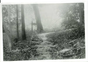 霧中　290-18 フィルム　白黒写真、六つ切り