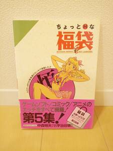 富士見書房 ちょっとエッチな福袋 第5集 帯付き