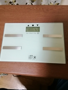ELECTRONIC PERSONAL SCALE