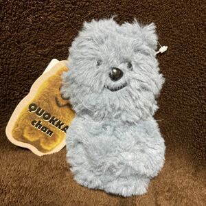 【限定品】クオッカちゃん チャーム ぬいぐるみ しまむら JUNKFOODOPERA ジャンクフードオペラ quokka chan サックス