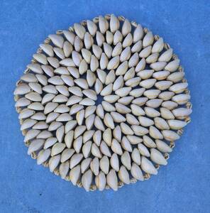２小さな貝を沢山繋いで作った敷物２０ｃｍ鍋敷きに使えます