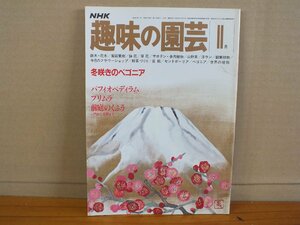 NHK 趣味の園芸 昭和57年1月 冬咲きのベゴニア