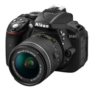 中古 １年保証 美品 Nikon D5300 AF-P 18-55mm VR レンズキット ブラック