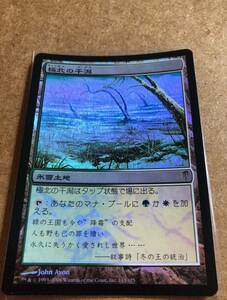 MTG マジック アンコモン FOIL 日本語 極北の干潟 USED