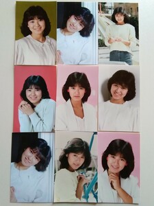 ♪ 石川秀美 (80年代アイドル)/【マルベル堂プロマイド ９枚】♪