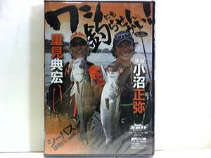 新品◆◆ＤＶＤワシにも釣らせんかい！雄物川(秋田県)小沼正弥　重見典宏◆◆シーバス編・川鱸ルアー☆エギンガー重見典宏がシーバスに挑戦