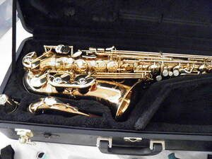 Yanagisawa A-902 Alto Saxophone ブロンズ ヤナギサワ アルト サックス