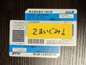 ★【送料無料】ANA株主優待券2枚セット 有効期限:2024年５月31日★匿名配送★