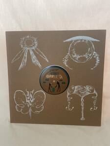 中迫 隼 SHUN NAKASEKO / INSECT ORQUESTA 12INCH エクスペリメンタル アンビエント 環境音楽 フィールドレコーディング ニューエイジ