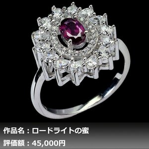 【1円新品】イケゾエガレ｜0.50ct 天然アルマディンガーネット ダイヤモンド K14WG仕上リング 14号｜作家モノ｜本物保証｜NGL鑑別対応