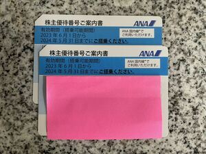 【通知のみ】ANA株主優待券 2枚 期限 2024年5月31日