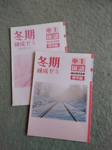 「値下げ」中学1年▼冬期錬成ゼミ&単元別テスト《問題集》国語▼解答有り