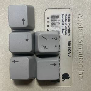 Apple Keyboard M0110AJ より取り外したキートップ　5個セットです。　#?
