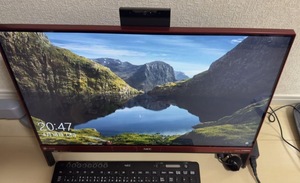 LAVIE Direct 一体型PC-GD242VCAB 手渡し歓迎