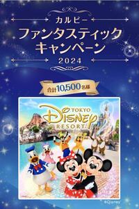 懸賞応募★カルビーファンタスティックキャンペーン2024★90点分（3口分）★