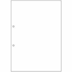 【新品】TANOSEE マルチプリンタ帳票（スーパーエコノミー） A4 白紙 2穴 1セット（2500枚：100枚×25冊）