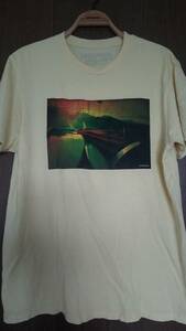 【売切り】パタゴニア　オーガニックコットン・Tシャツ　メンズLスリムフィット　人気廃版モデル　格安出品