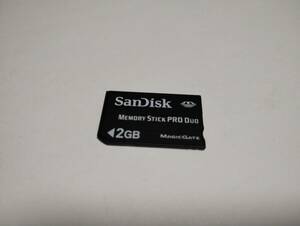 一部色塗り有り　2GB　SanDisk　メモリースティックプロデュオ　MEMORY STICK PRO DUO メモリーカード