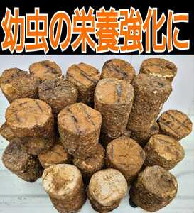 カブト幼虫の栄養強化に！大量！椎茸廃菌床25ブロック☆発酵マットに埋め込むとモリモリ食べます！クワガタ幼虫の餌、産卵木の代わりにもOK