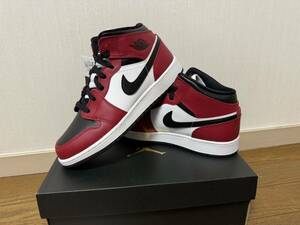 NIKE AIR JORDAN エアジョーダン シカゴ 554725-069