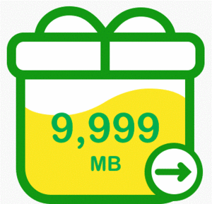 mineo マイネオ　パケットギフト　10GB（9999MB)　送料無料3