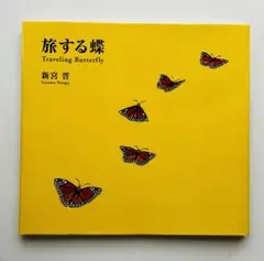 「旅する蝶 = Traveling Butterfly」 新宮 晋