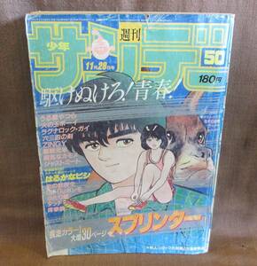 小学館 週刊 少年 サンデー 1984年 昭和59年 11月28日号 ウーパールーパー はるかなビシ タッチ 陽気なカモメ スプリンター うる星やつら