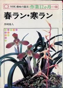 NHK趣味の園芸　作業12か月　春ラン・寒ラン　黒崎陽人　日本放送出版協会　昭和63年2月30刷　UA240214M1