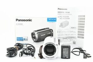 【実用美品】Panasonic パナソニック HC-W590M ビデオカメラ 白 ホワイト #541