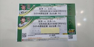 阪神vs日本ハム 甲子園球場 5月29日(水)ライト外野通路側2連番