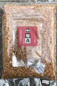 爆食小エビ50g(測り売り)(クリル)肉食魚幼魚フグ アロワナ シクリッド アベニーパファー 海水魚 イモリ カメ(熱帯魚 両性爬虫類)送料無料