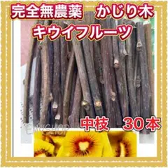 完全無農薬　かじり木　キウイフルーツ　中枝　30本