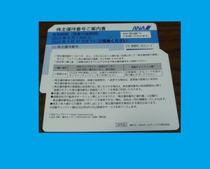 【即決】　全日空 ANA 株主優待券 2枚セット ( パス連絡のみ 送料無料 ) 2024年5月31日迄