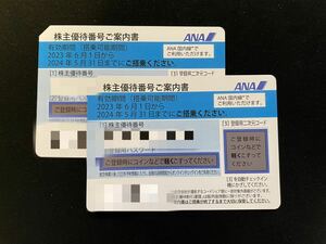 ANA 全日空 株主優待 番号通知のみ 〜2024/5/31搭乗分 2枚セット