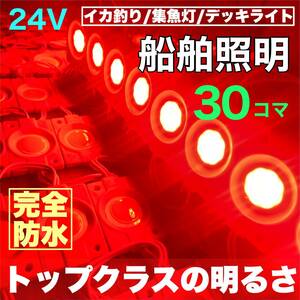 レッド 30コマ 漁船用 LED 船舶照明 集魚灯 停泊灯 作業灯 デッキライト 防水 赤 夜間照明 イカ釣り漁船 増設ライトパーツ