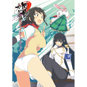 新品未開封「閃乱カグラ-少女達の真影-ビジュアルファンブック」