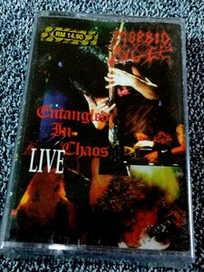 【初期デスメタル】MORBID ANGEL カセットテープ Entangled In Chaos LIVE（