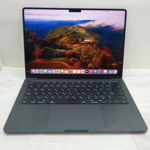 [送料無料] 美品☆Apple MAC BOOK PRO MRX53J/A M3 Max A2992 36GB ブラック 14インチ マックブック プロ アップル☆