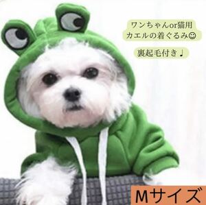 【24時間以内発送可】 犬 猫 裏起毛 カエル パーカ グリーン Mサイズ